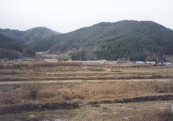 삼계면 덕산리 마을전경