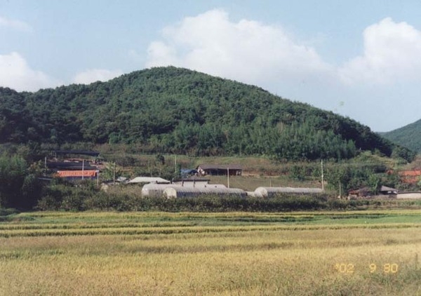 삼계면 덕산리 마을전경