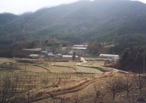 삼계면 덕산리 마을전경