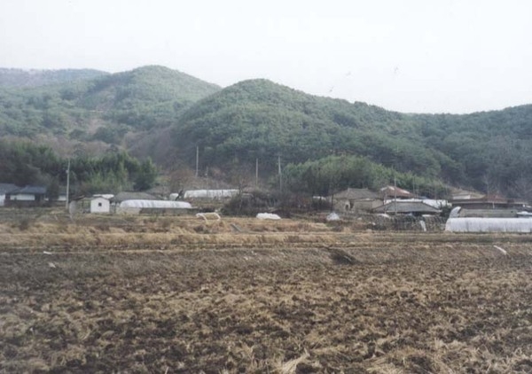 삼계면 덕산리 마을전경