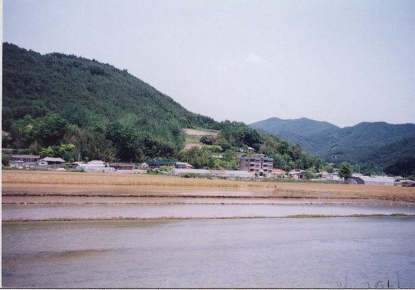 삼계면 사창리 마을전경