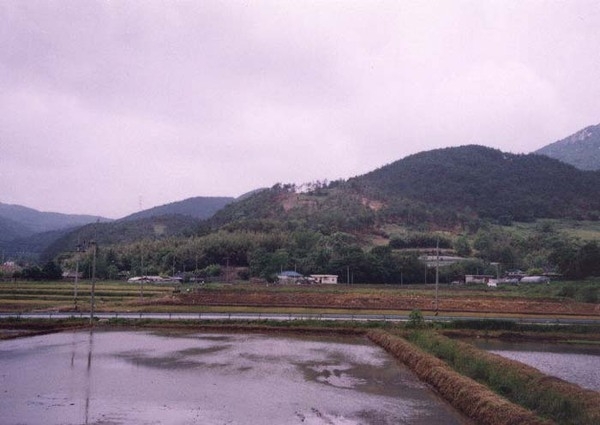 삼계면 부성리 마을전경