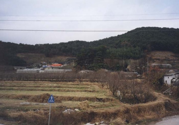삼계면 수옥리 마을전경