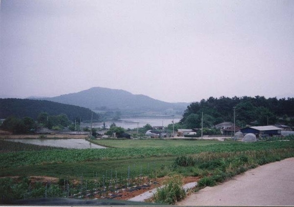 삼계면 월연리 마을전경