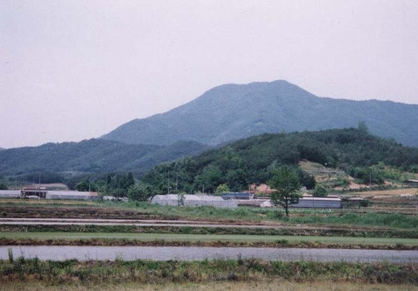 삼계면 신기리 마을전경