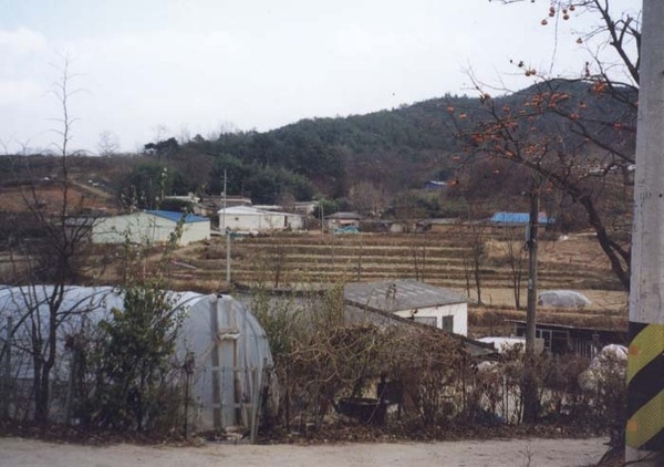 삼계면 신기리 마을전경