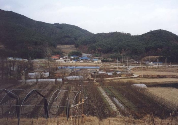 삼계면 신기리 마을전경