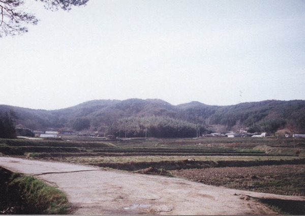 서삼면 용흥리 마을전경