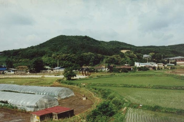 서삼면 송현리 마을전경