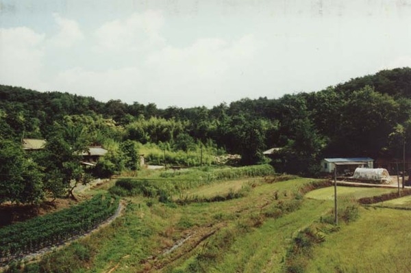 서삼면 송현리 마을전경