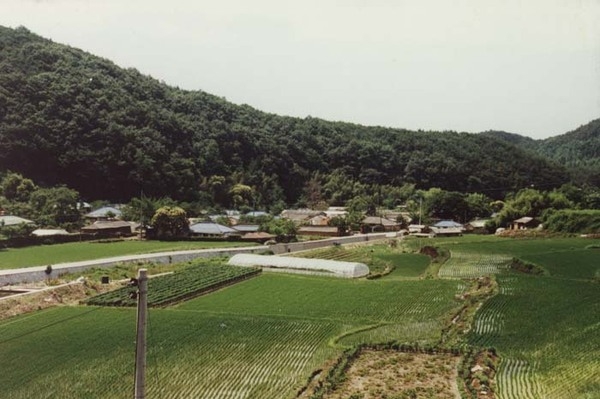 서삼면 모암리 마을전경
