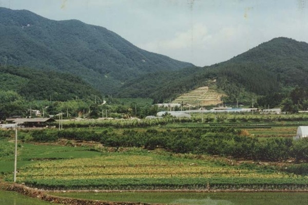 서삼면 모암리 마을전경