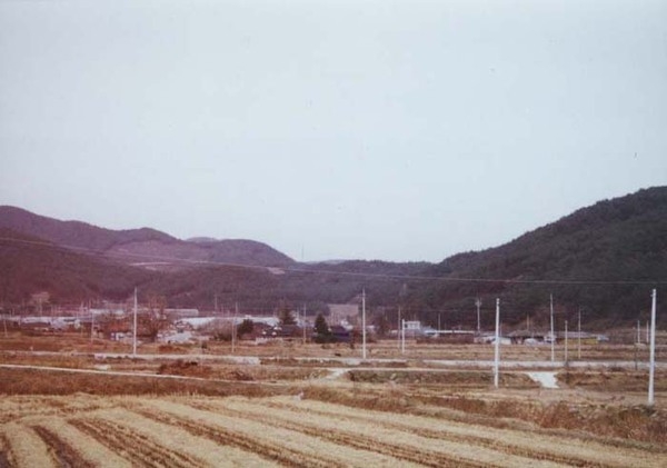 서삼면 대덕리 마을전경
