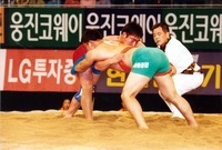 장성장사씨름대회-금강급