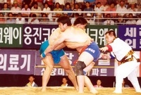 장성장사씨름대회