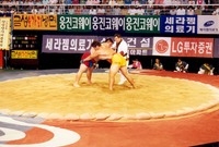 장성장사씨름대회