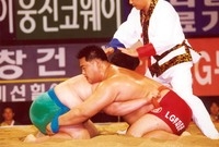 장성장사씨름대회