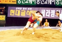 장성장사씨름대회