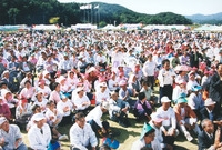 제7회노인의날및건강걷기대회