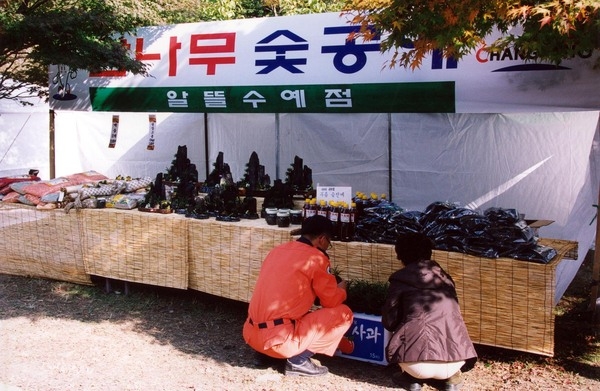 제8회백양단풍축제