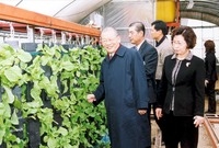 동화송계상추하우스방문