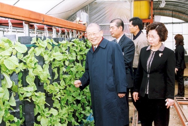동화송계상추하우스방문