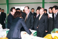 허성관행자부장관남면파프리카...