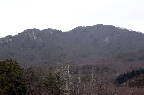 고성산성