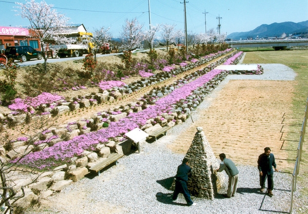 황룡강변꽃길