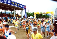 장성홍길동마라톤대회