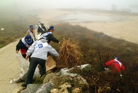 그린장성 가꾸기 대청소