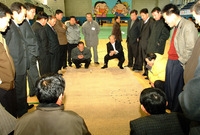 제13회 민속놀이 한마당 ...