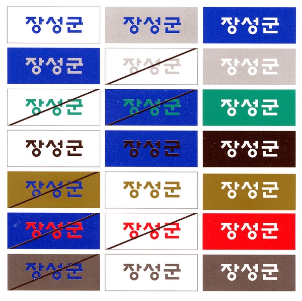 장성상징물 - C.I