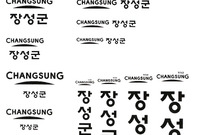 장성상징물 - C.I