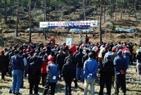 제60회식목일기념행사