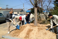제60회식목일기념식수(장성...