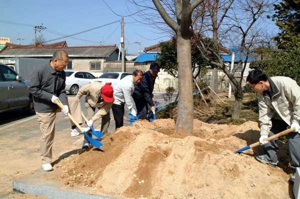 제60회식목일기념식수(장성읍)