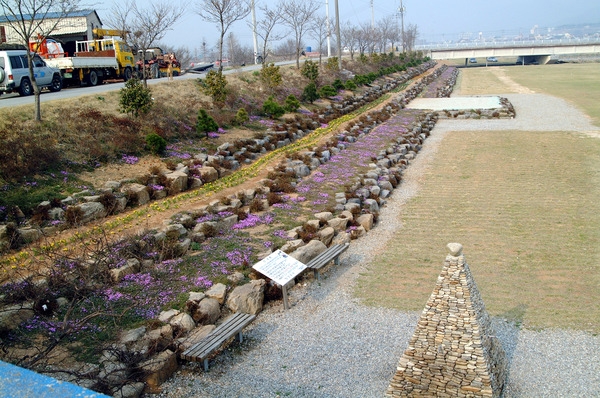 황룡강변 꽃길