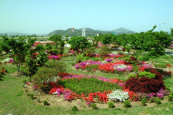 황룡강변 꽃길(공설운동장)