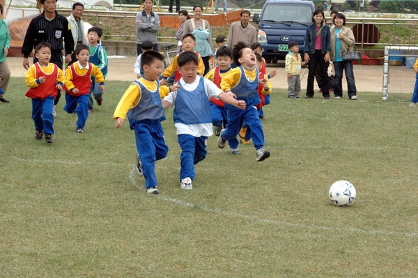 제7회홍길동축제(어린이홍길동축구대회)