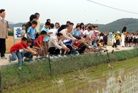 2005년 오리농법 연시회...
