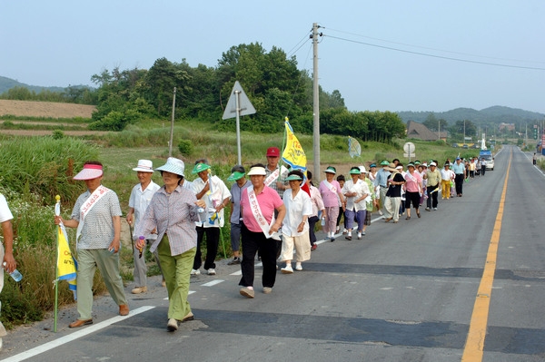 범군민 백세 건강걷기운동 대회(삼계면)