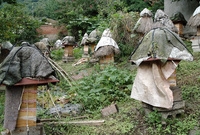 가인마을 한봉