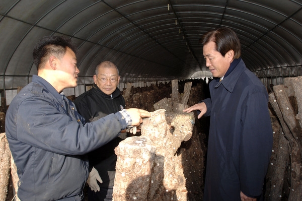 황룡면 폭설(눈) 피해현장 및 시설하우스 피해복구 격려