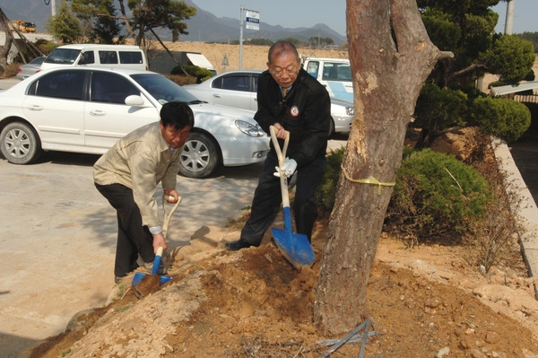 제61회 식목일 기념 식수(남면 면사무소)