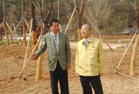 필암서원 정비현장