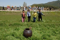 북이면 오월리 오현마을 제...