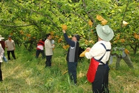 2006 봄철 공무원 농촌...