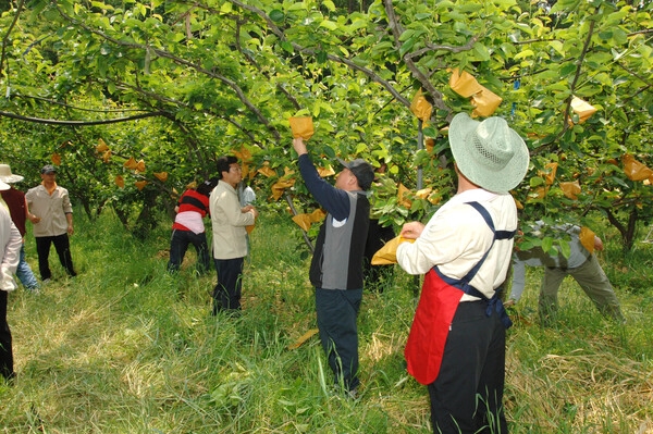 2006 봄철 공무원 농촌일손돕기