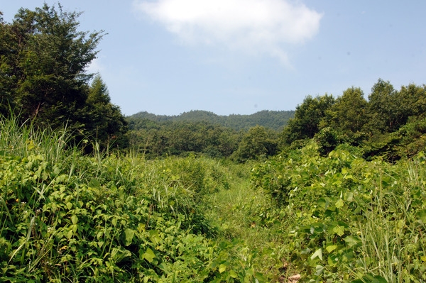 공설 납골당 현장